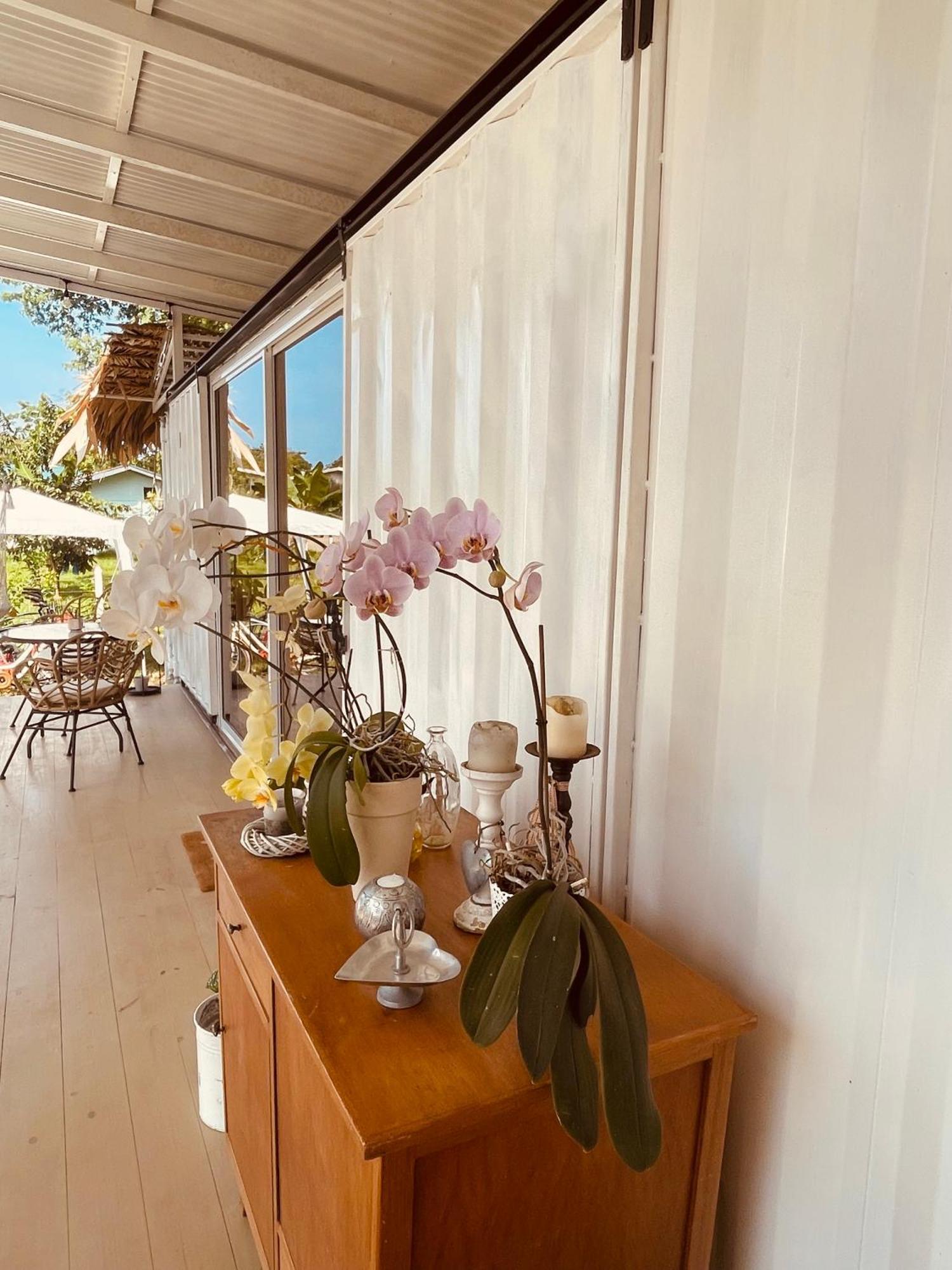 Bed and Breakfast Casa Luce Puerto Viejo de Talamanca Экстерьер фото