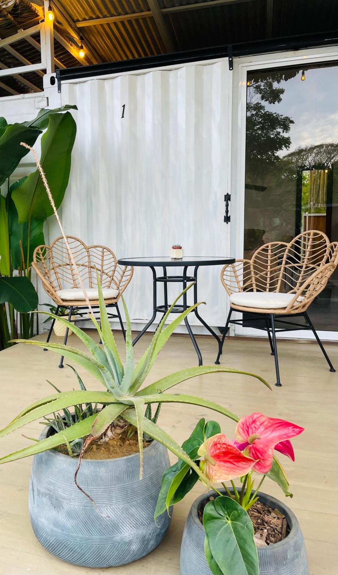 Bed and Breakfast Casa Luce Puerto Viejo de Talamanca Экстерьер фото